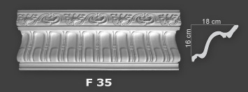 F 35